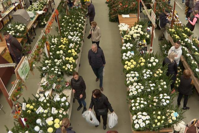 Koszorúk, virágok és mécsesek – Mindenszentekre készülnek a piacon
