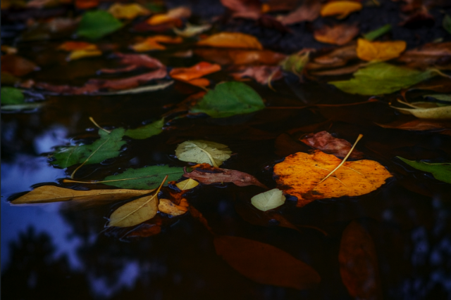 Eső érkezik nyugatról – búcsút inthetünk a 20 foknak