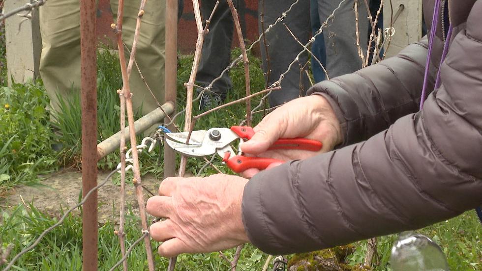 Megszerveztk a hetedik borutat  