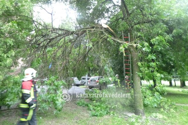 Lehasadt fag veszlyeztette a parkol autkat Zalaegerszegen