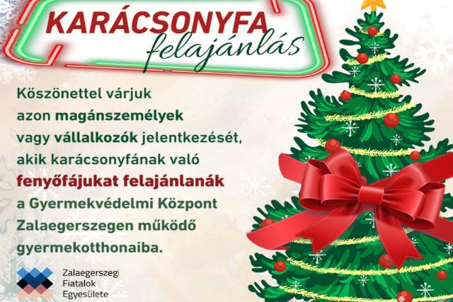 Karcsonyfa-felajnls gyermekotthonok szmra