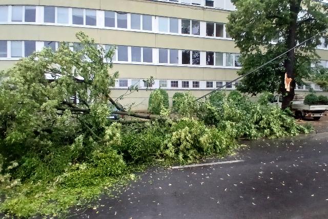Kidőlt fák, leszakadt vezetékek: több településen is dolgoznak a zalai tűzoltók – Frissítve