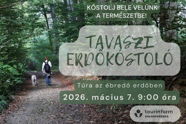 Tavaszi Erdőkóstoló – Túra az ébredő erdőben