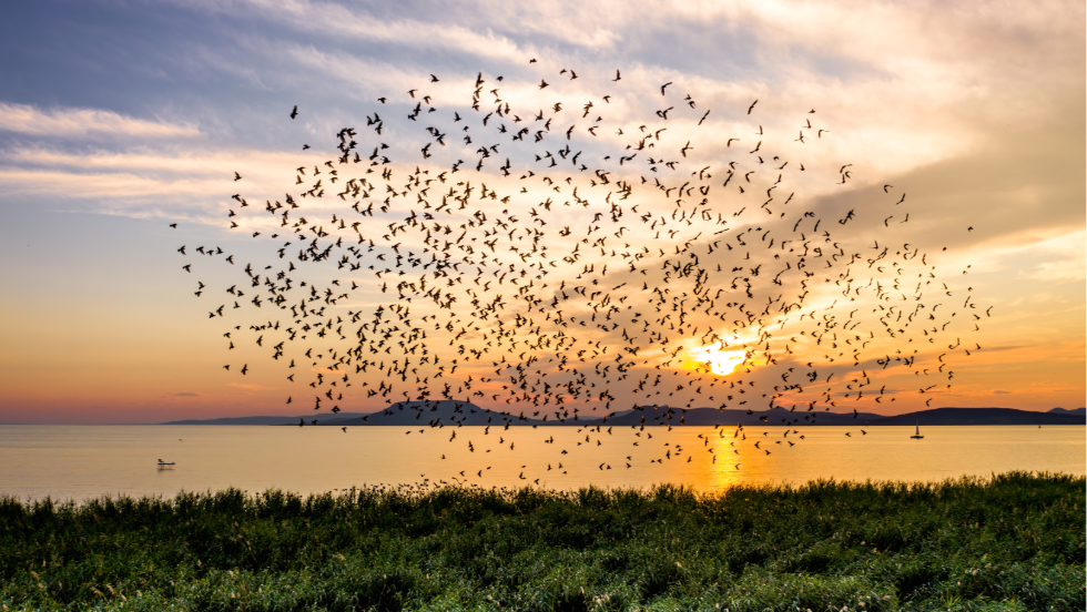 Fotplyzat a Balaton ngy vszakos szpsgeirl