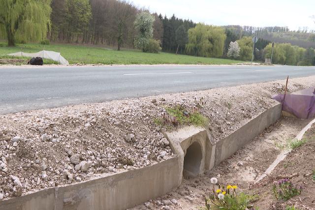 Bevált a békaalagút – Ezrek keltek át biztonságosan