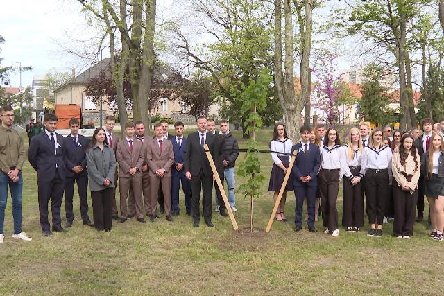 Elültették a végzősök fáját