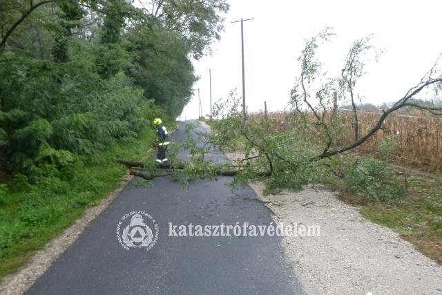 Villanyvezetkre dlt egy fa Zalaegerszegen