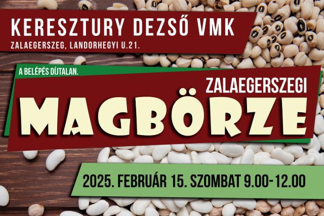 Zalaegerszegi Magbrze