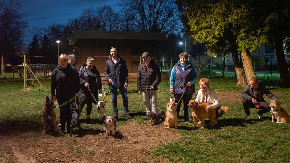 j kzvilgts a vizslaparki kutyafuttatban