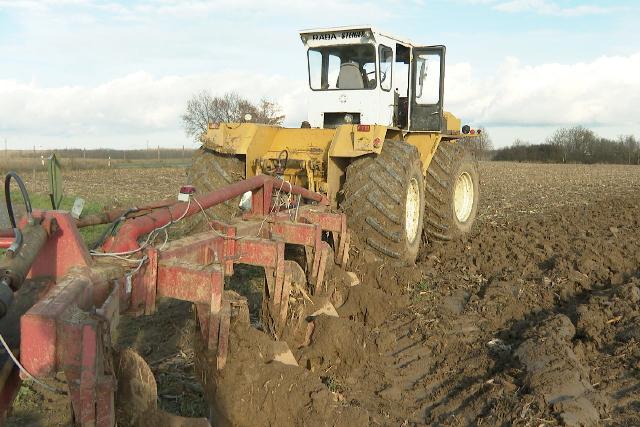 Mezőgazdasági körkép – jól jött a csapadék a zalai földeknek