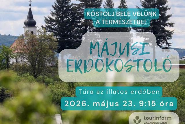 Időpontváltozás! Májusi erdőkóstoló – Túra az illatos erdőben