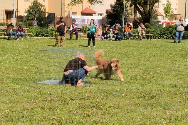 Első alkalommal tartottak állatbarát napot a Vizslaparkban
