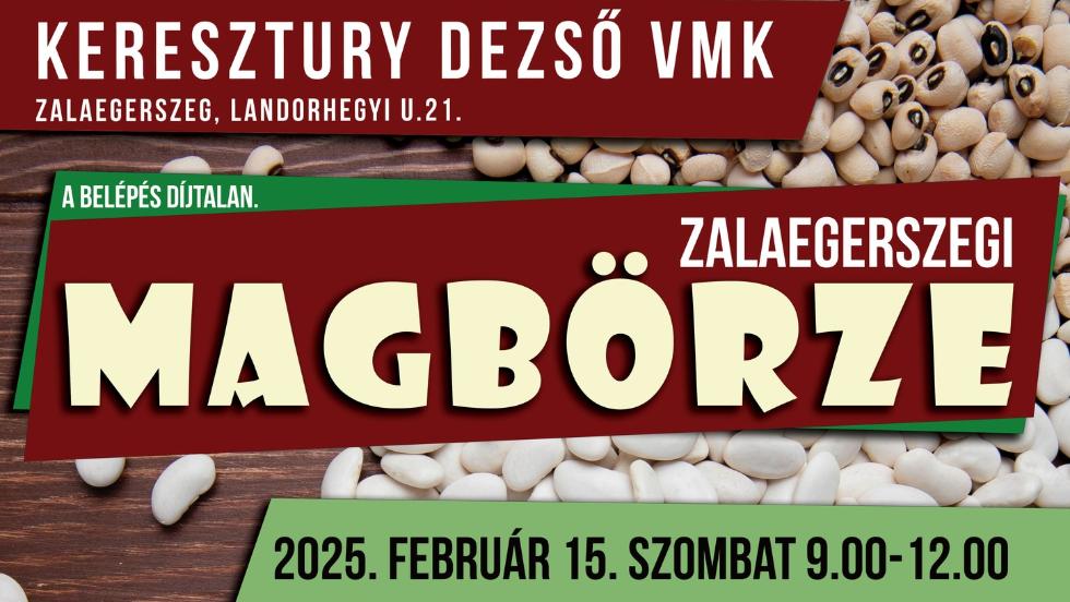 Zalaegerszegi Magbrze