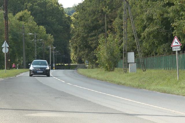 Elkezdődött a szarvasvadászat a zalai erdőkben