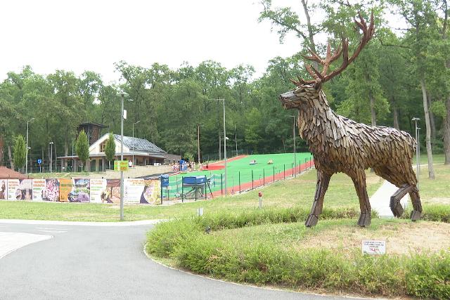 Kedvelt célpont az Alsóerdei Sport- és Élménypark – az üzemeltető további fejlesztéseket is tervez