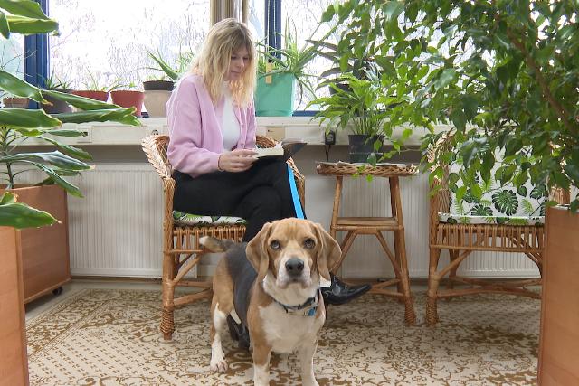 „Kutyabarát Könyvtár” a Landorhegyen