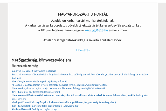 Veszélyes kiberbiztonsági hiba miatt két napra leállt a magyarorszag.hu