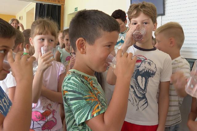 gy vdekeznek az iskolkban a hsg ellen