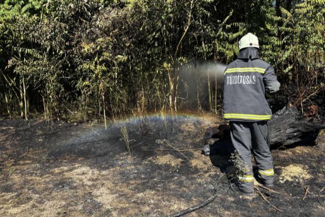 Purhabos flakonok durranásai miatt terjedt tovább a tűz Gyűrűsön