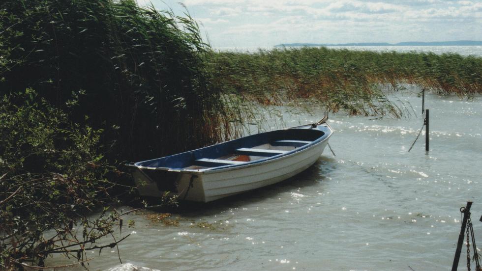 Megtalltk a vzimentk a Balatonban eltnt frfi holttestt