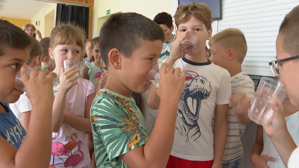 gy vdekeznek az iskolkban a hsg ellen