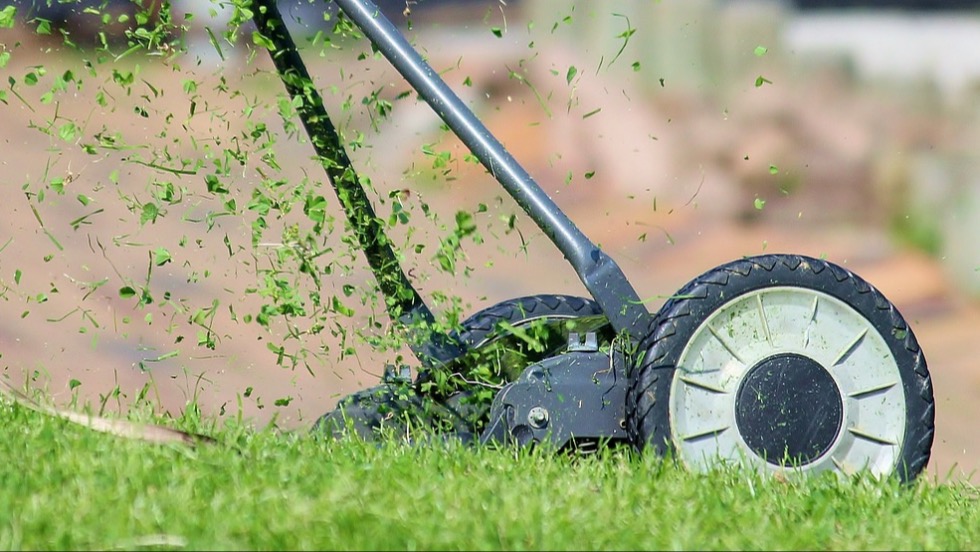 Szebb, mint a f, de mg locsolni s nyrni sem kell annyit - ezt teleptse a kertjbe