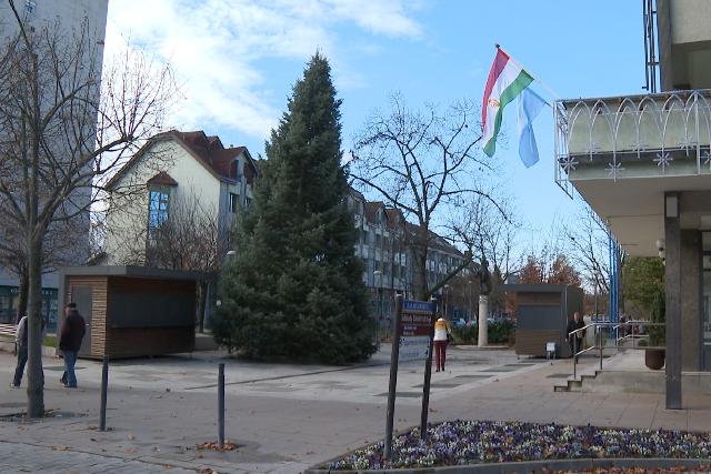 Megérkezett Zalaegerszegre a város karácsonyfája