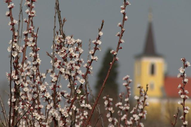 A nyolcadik legenyhébb volt az idei március 1901 óta