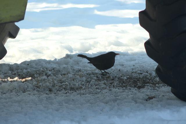 Mezőgazdasági körkép – a zalai gazdák örülnek ennek az időjárásnak