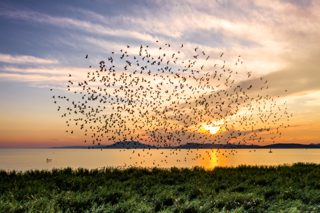 Fotplyzat a Balaton ngy vszakos szpsgeirl