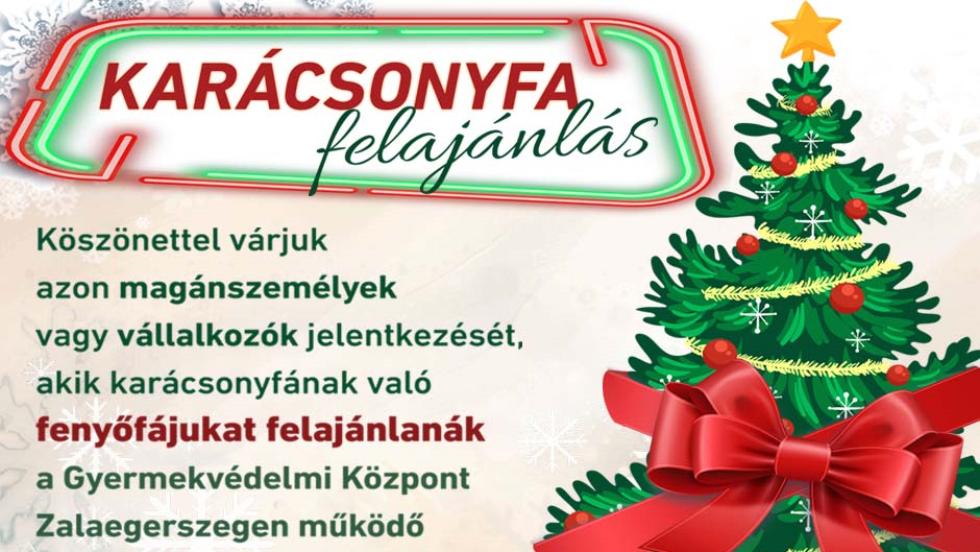 Karcsonyfa-felajnls gyermekotthonok szmra