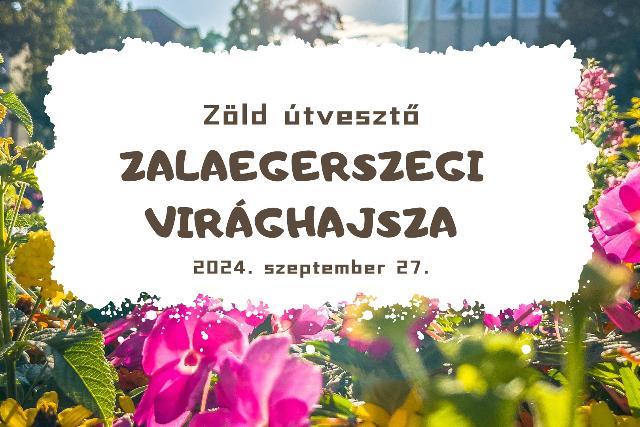 Zalaegerszegi virghajsza