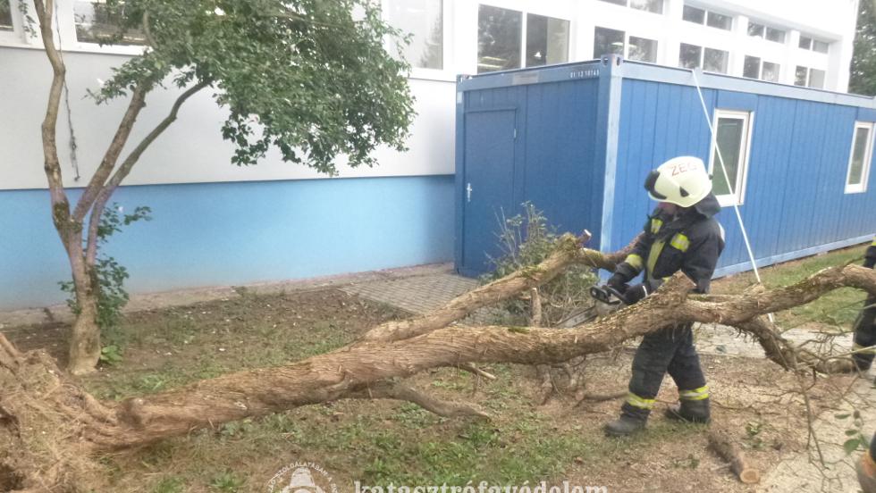 Villanyvezetkre dlt egy fa Zalaegerszegen 