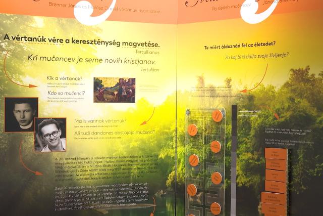 Fény a határon – Kiállításmegnyitó a Mindszentyneumban