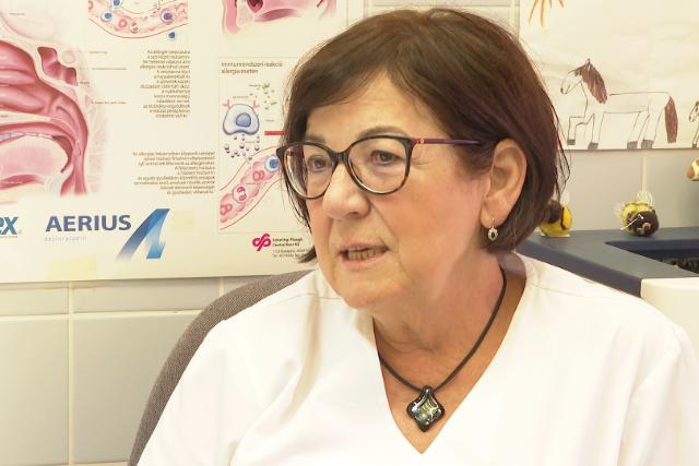 Polleninvázió – Magas a parlagfű pollenkoncentráció