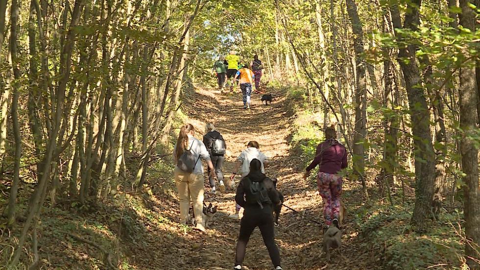 Zala Forest Challange cmmel kutys terepfutst rendeztek Zalaegerszegen