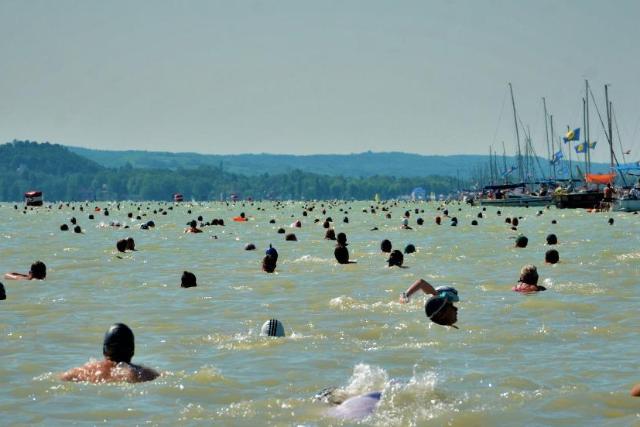 Telt ház a Balaton-átúszáson, lezárták a nevezést