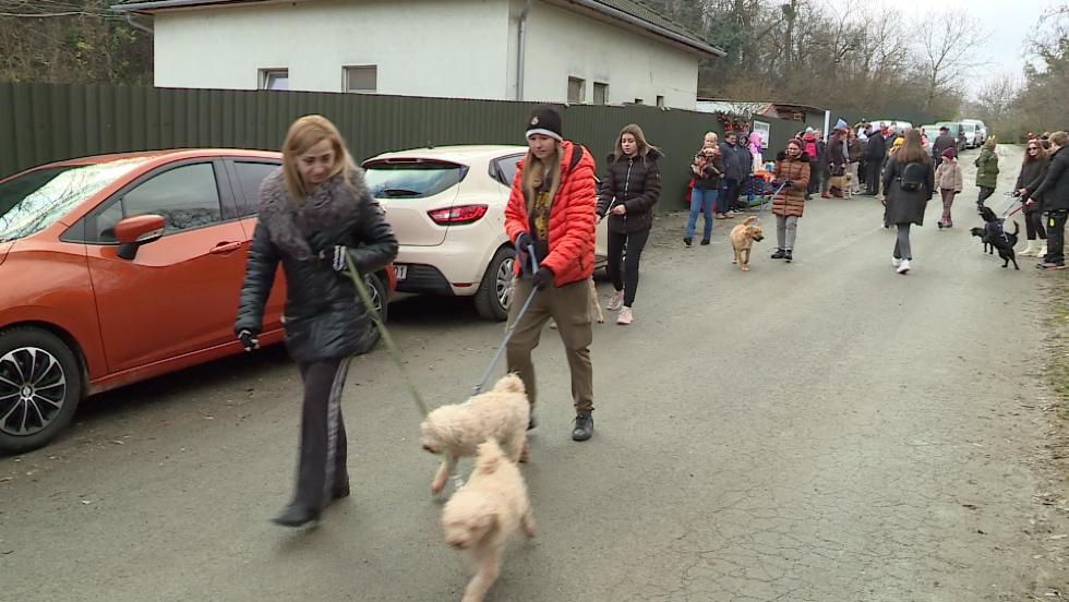 Stt kaptak a Mikulstl a Bogncs llatmenhely kutyusai