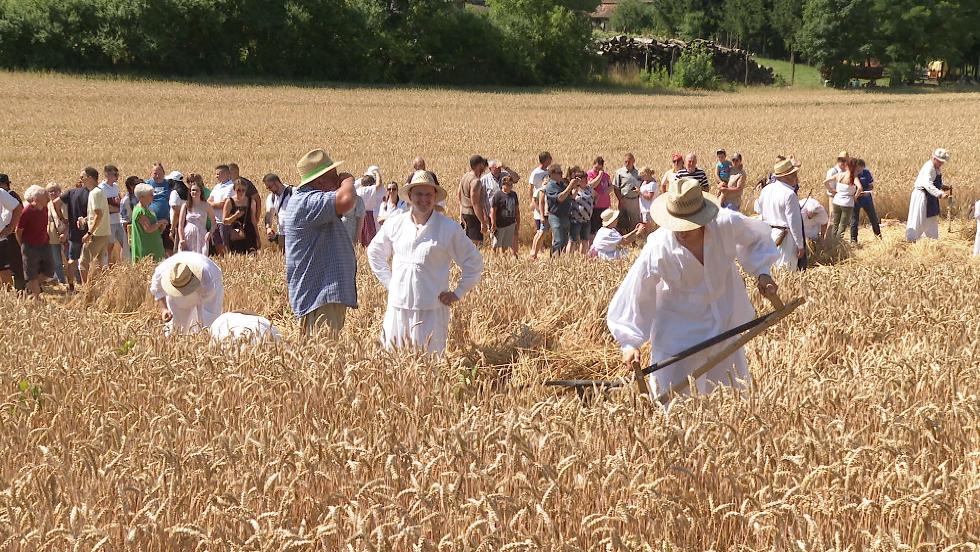 Aratnapot tartottak Novn