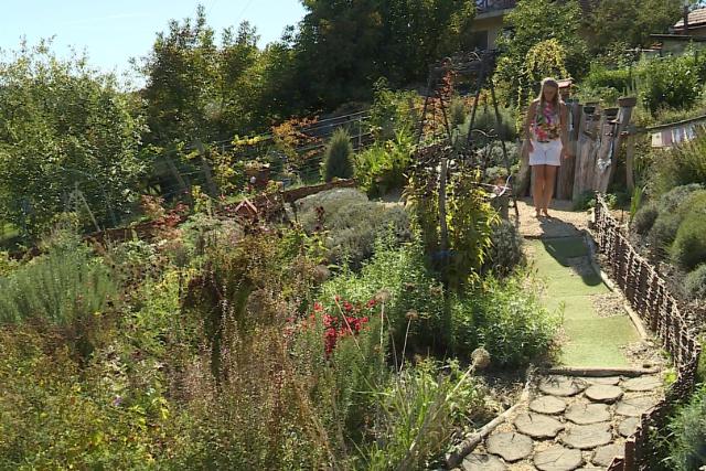 Közösségi célokat is szolgál a magánkert