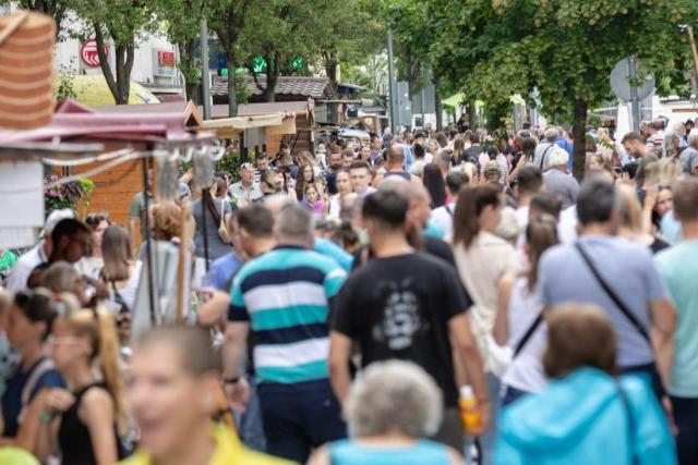 Programkavalkád - izgalmas lesz a 2026-os év