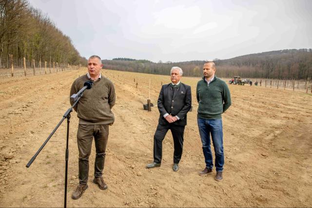 Több mint 10 hektár zöld terület jön létre Zalában