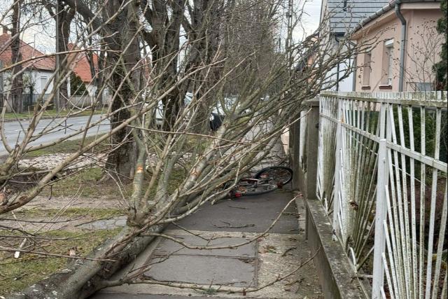 Közel hatvan helyszínen, megállás nélkül dolgoztak a zalai tűzoltók vasárnap