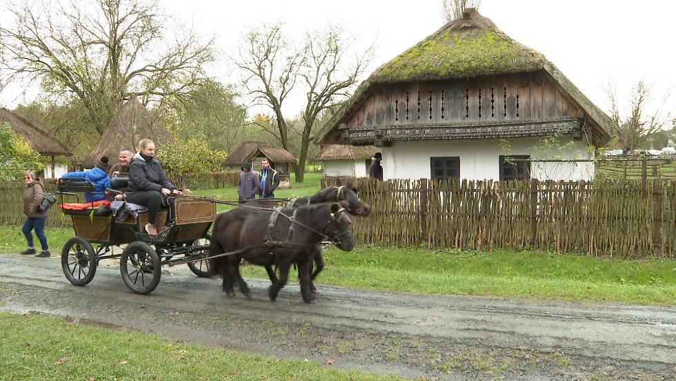 Libalakoma s jbor a skanzenben