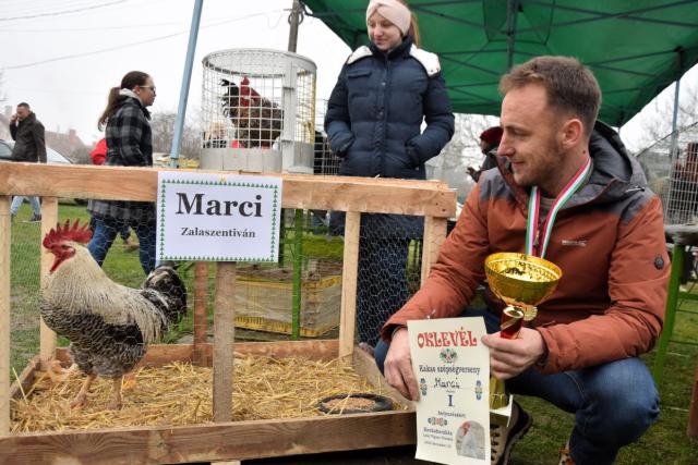 Marci lett a kakasszépségverseny győztese Kerkabarabáson