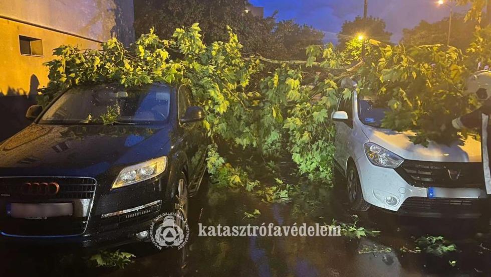 vtizedes rekordot dnthetnek a viharkrok idei kifizetsei