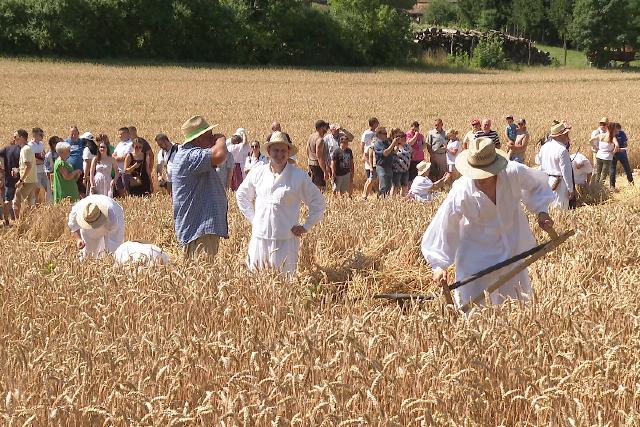 Aratnapot tartottak Novn