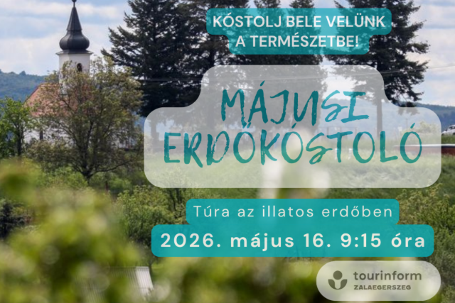 Májusi erdőkóstoló – Túra az illatos erdőben