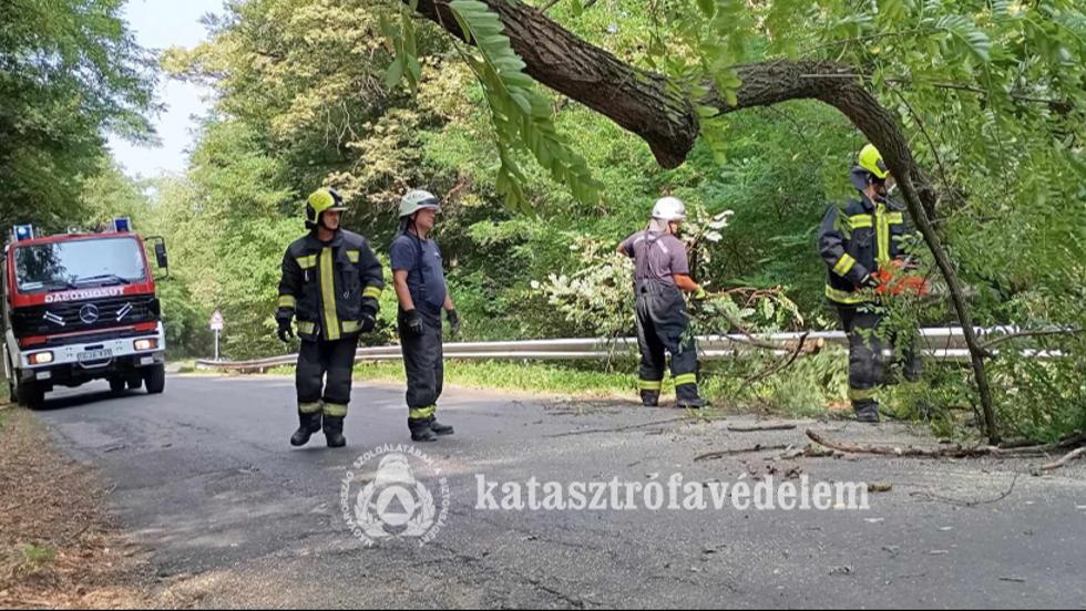 Kidlt fa foglalta el az ttestet Zalaegerszegen