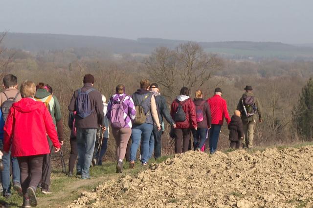 Erdőkóstoló – Túra az Egészséges Zalaegerszeg Program jegyében